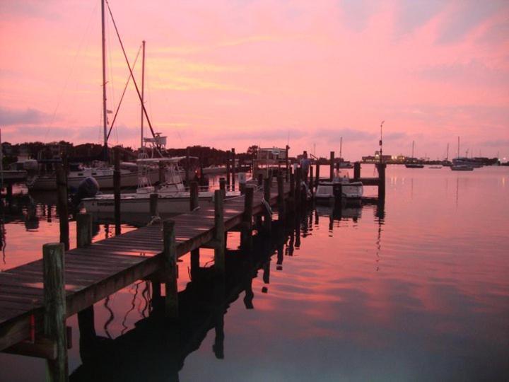 The Harbor